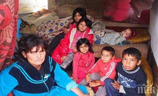 ПИК TV: 15 ромски деца нощуваха на открито
