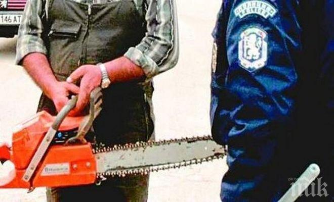 Странно! Крадец задигна моторен трион