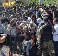 Бежанци се сбиха в центъра на Белград