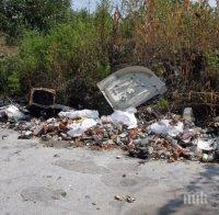 Незаконно сметище се струпа на булевард в Пловдив