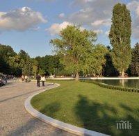 Село Дунавци е с обновен градски парк
