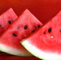 За 28-и път в Шуменско се проведе празникът на динята 