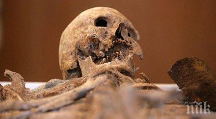 зловеща находка намериха скелет цар симеоновата градина пловдив