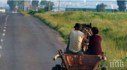 роми каруца пребиха колове бургазлия мерцедес тръстиково