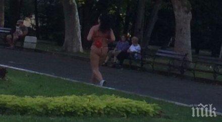 сеир бегачка прашки сащиса бургазлии морската градина снимки