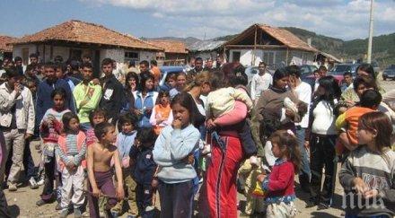 пик проф илона томова области деца роми държавата длъжник