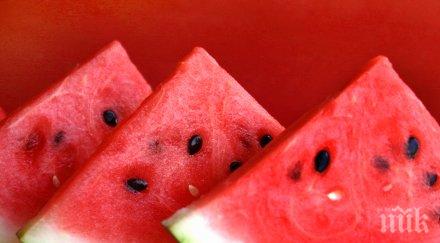 път шуменско проведе празникът динята