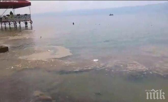 Паника край варненско езеро - рибата масово измряла