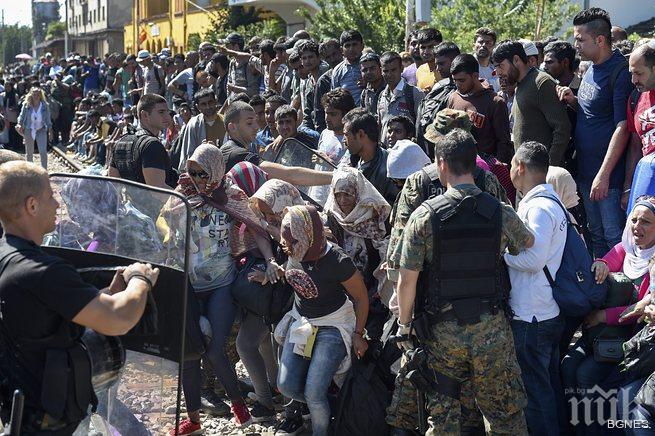 Бежанци се сбиха в центъра на Белград