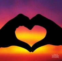 Няколко полезни съвета за необвързаните дами
