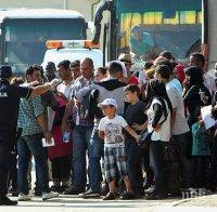 Десетки автобуси с бежанци пътуват към Унгария от Белград
