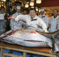 Канадско момче хвана 220-килограмова риба тон