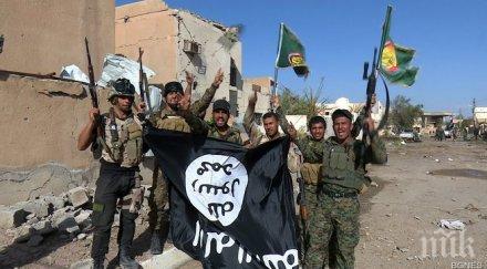 ужас 800 потенциални терористи европа