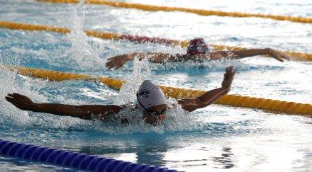 томова атанасов световното плуване сингапур