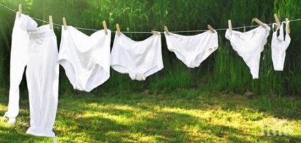 куриоз видин тикнаха затвор мъж крал гащи простор