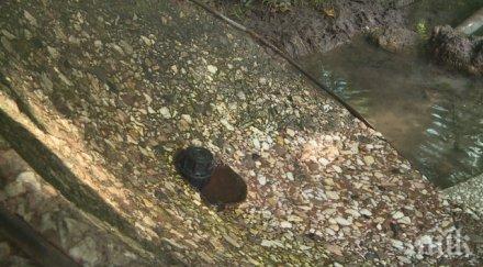 минути тапа 160 лева граждани спряха теча западен парк