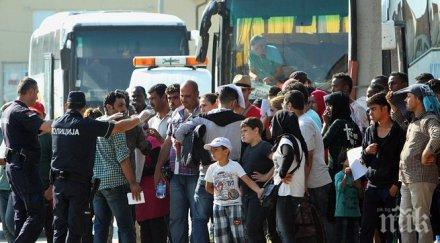 десетки автобуси бежанци пътуват унгария белград