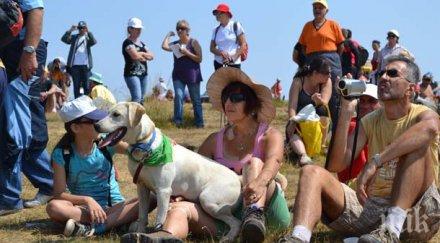 000 очаква година покорят черни връх