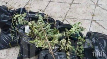 смрад тормози пловдивчани