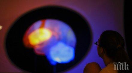 разболяваме множествена склероза заради ниските нива витамин