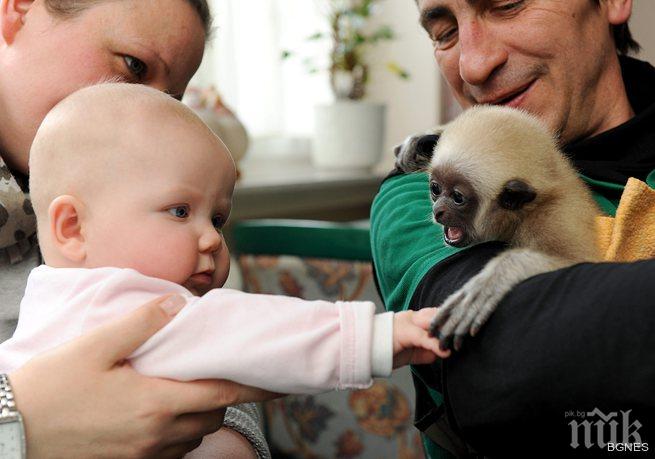 От януари догодина: Родителите с болничен за деца до 12 г. под карантина