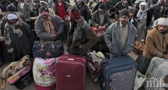  САЩ ще приемат между 5000 и 8000 сирийски бежанци