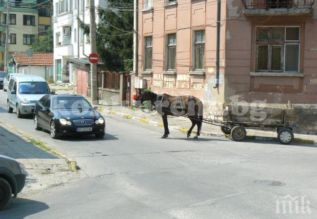 Благоевградчанка изригна срещу ромските каруци: Писна ми да чистя конски изпражнения от улицата!