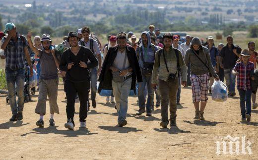 ЕС смята Унгария за новата гореща точка в кризата с мигрантите
