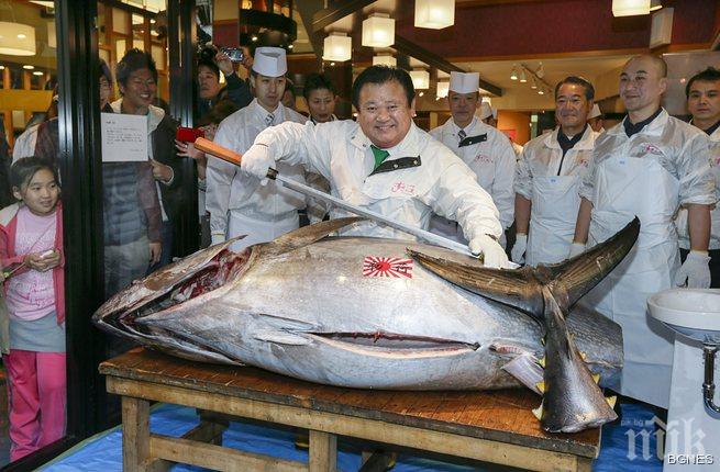 Канадско момче хвана 220-килограмова риба тон