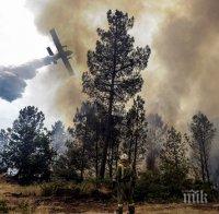 Пожар в иглолистна борова гора край с. Спахиево