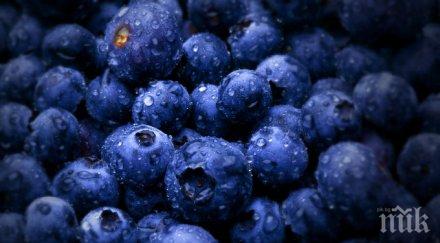 берачка боровинки отиваме нищото