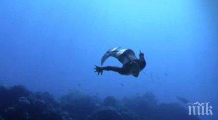 отвориха училище русалки