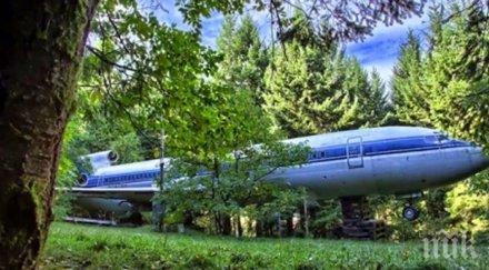 един мъж стар самолет насред гората причината уоу