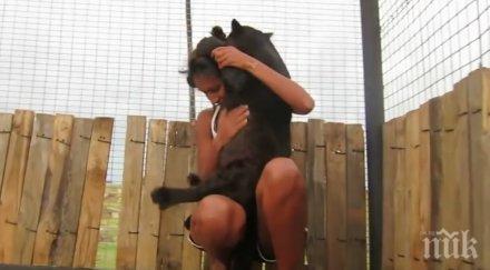 животните също изпитват емоции прави черна пантера доказва