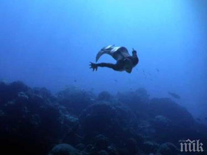 Отвориха училище за русалки