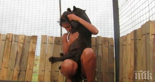 Животните също изпитват емоции. Това, което прави тази черна пантера, го доказва!