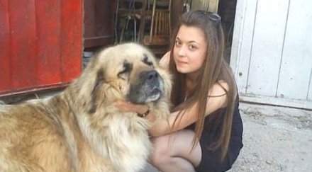 година убийството мирослава дело