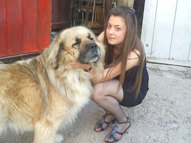 Година след убийството на Мирослава няма дело