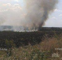 Огромен пожар избухна между селата Кирово и Граничар в община Средец
