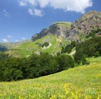 5000 души се качиха на Черни връх „по стъпките на Алеко” 
