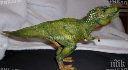 потресаващо лекари извадиха динозавър вагина