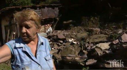 стотици букове изсечени незаконно пирдоп