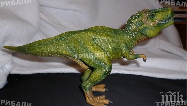 Потресаващо! Лекари извадиха динозавър от вагина