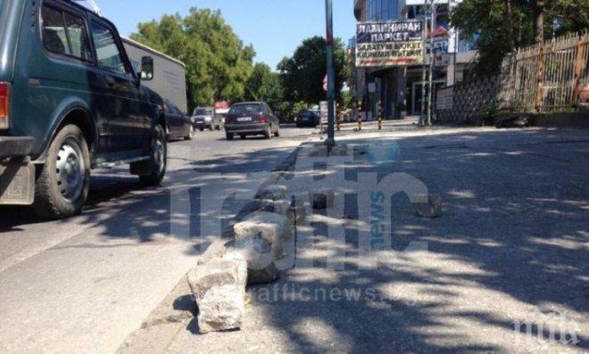 Павета колкото гюлета хвърчат на пловдивски булевард
