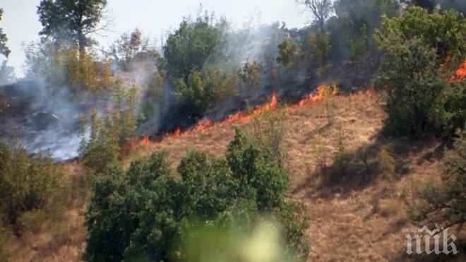 Огнен ад! Голям пожар бушува край село Фролош
