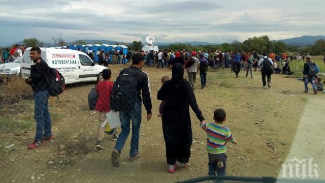 Сирийските деца, открити в камион в Австрия, изчезнаха от болницата