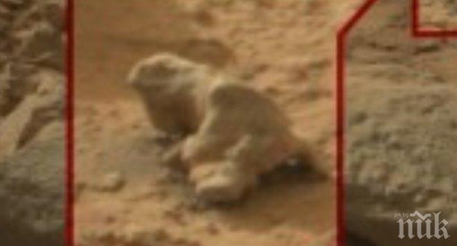 Мистерия! Русалки, хора и животни се разхождат на Марс (снимки)
