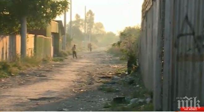 Ромите, били полицаи в Орландовци, с различна версия