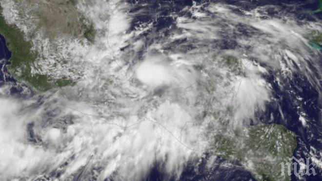 Тропическата буря Ерика приближава Флорида, след като уби 20 души на Доминика