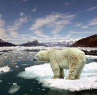 Гъбички и бактерии могат да повлияят върху климатичните модели